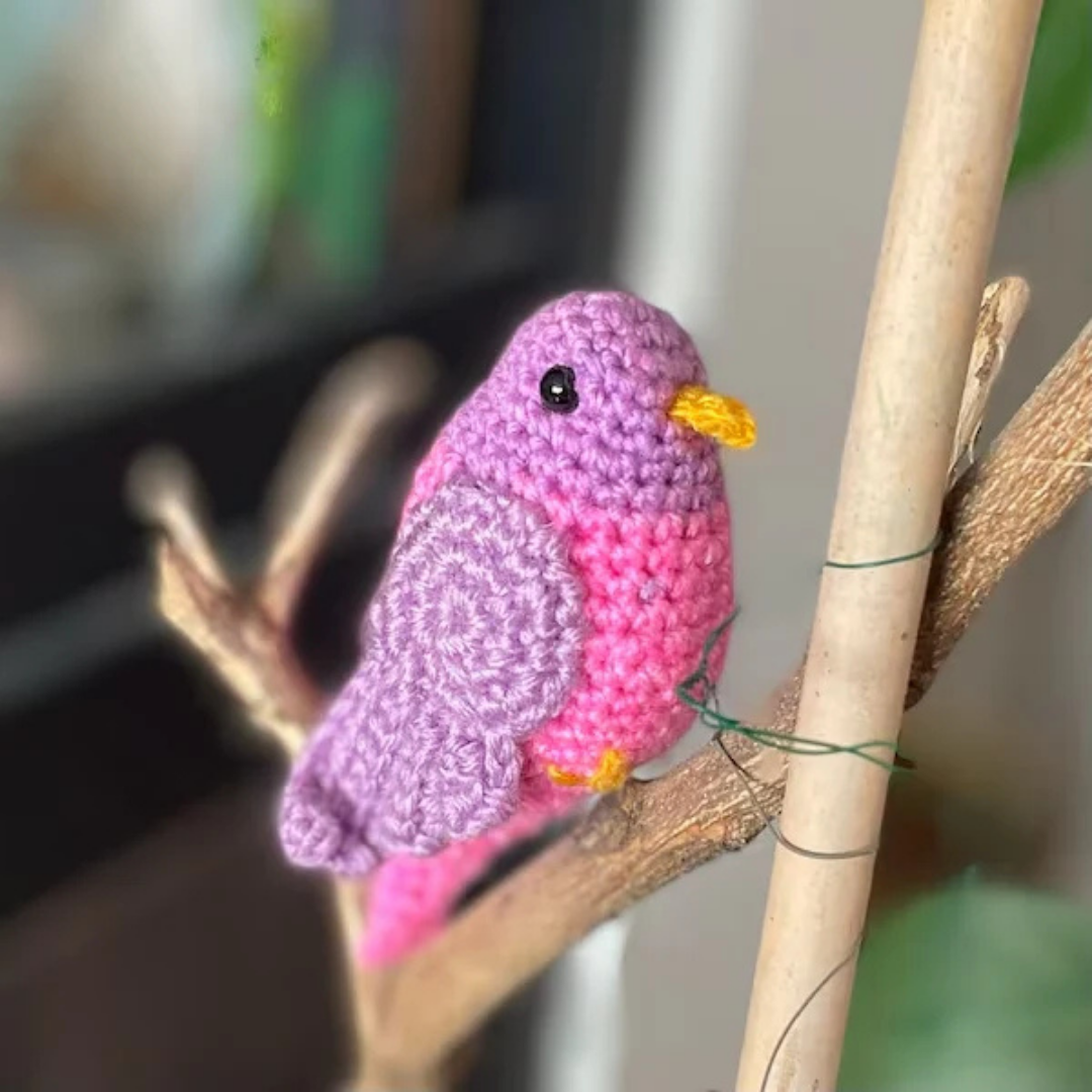 Gekleurde Vogeltjes Haak Patroon