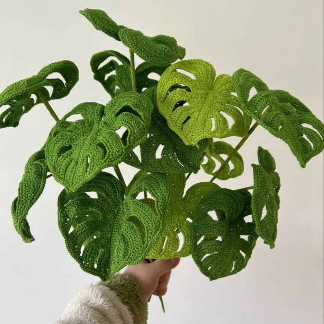Monstera Plant Haakpatroon