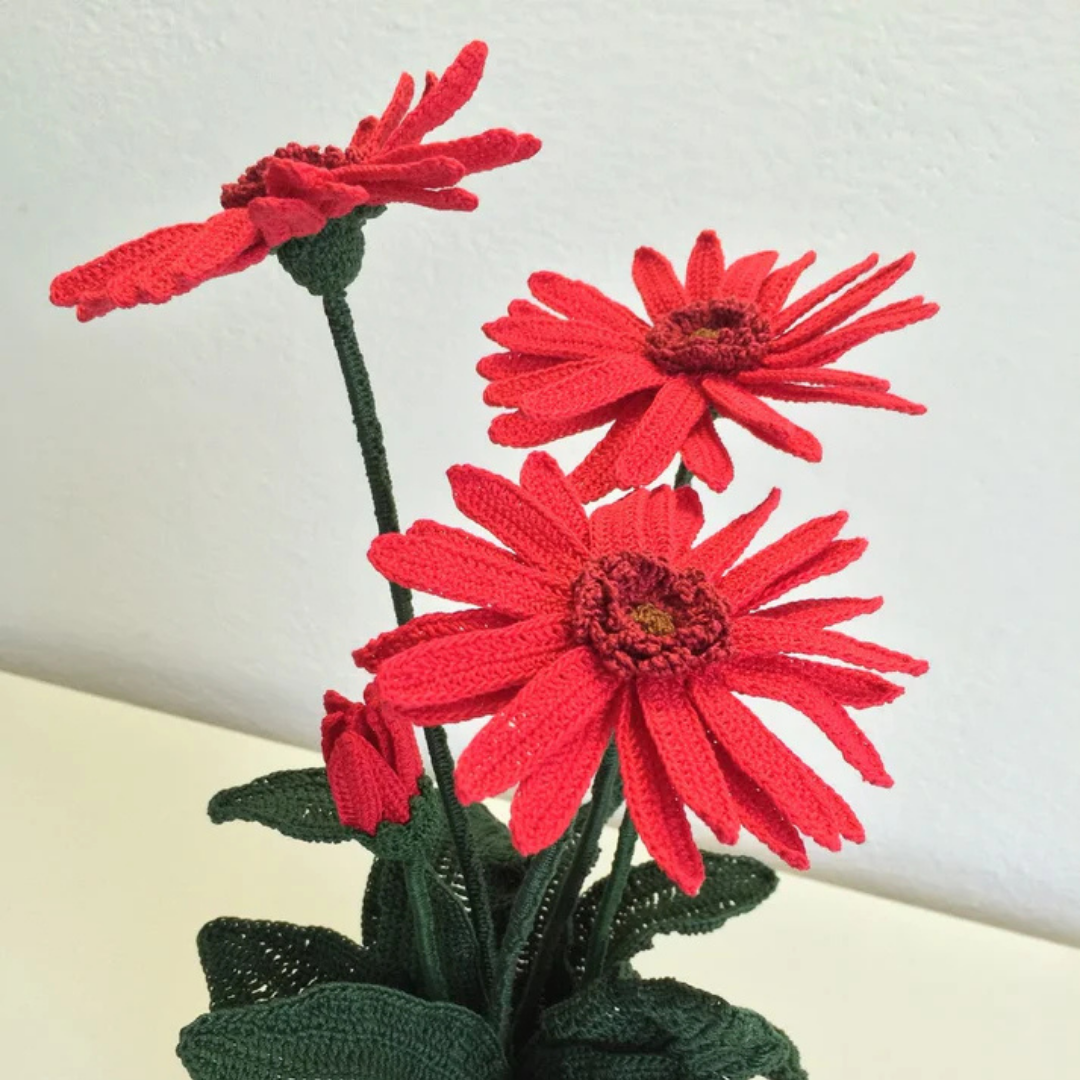 Prachtig Gehaakte Gerbera's Patroon