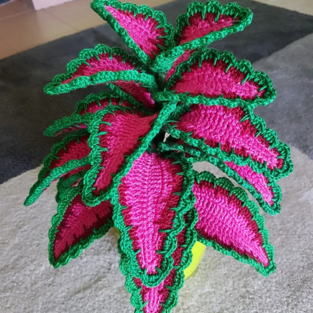 Siernetel Plant (Coleus)