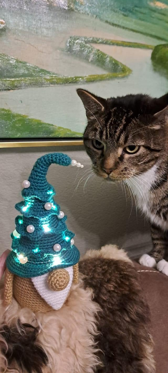 Groene Kerstgnoom Haakpatroon NL