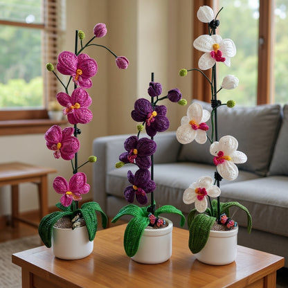 Orchidee haken