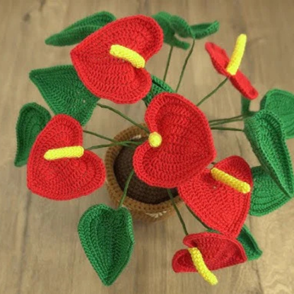 Prachtige Gehaakte Anthuriums