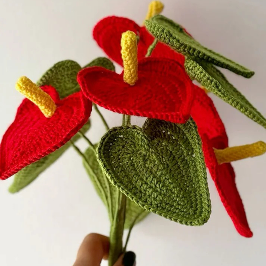 Prachtige Gehaakte Anthuriums