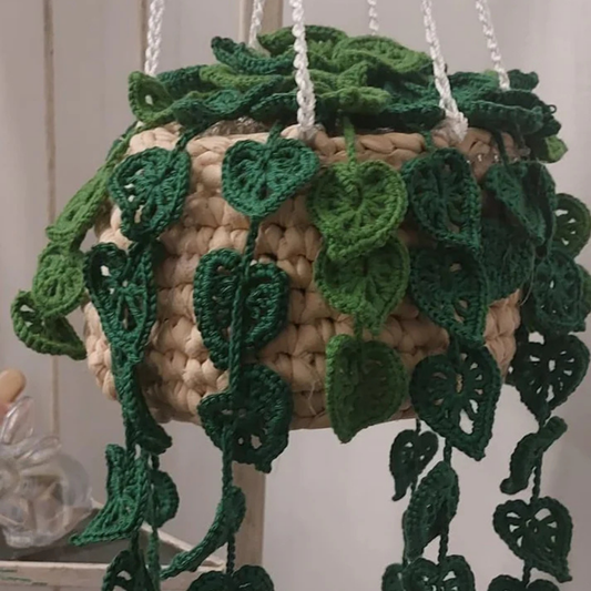 Prachtige Hangplant – Haakpatroon