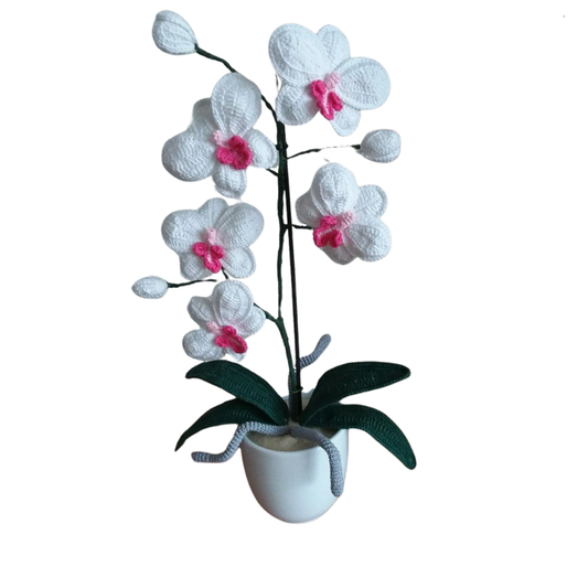 Prachtige Gehaakte Orchidee