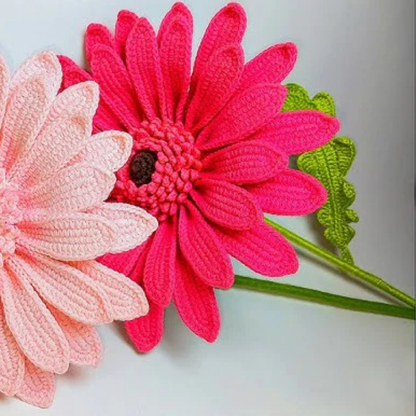 Prachtig Gehaakte Gerbera's Patroon