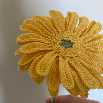 Prachtig Gehaakte Gerbera's Patroon