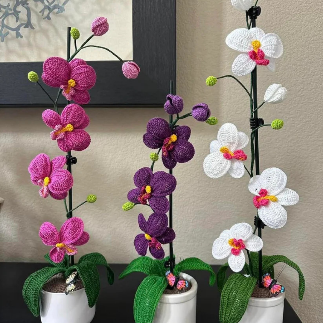 Prachtige Gehaakte Orchidee
