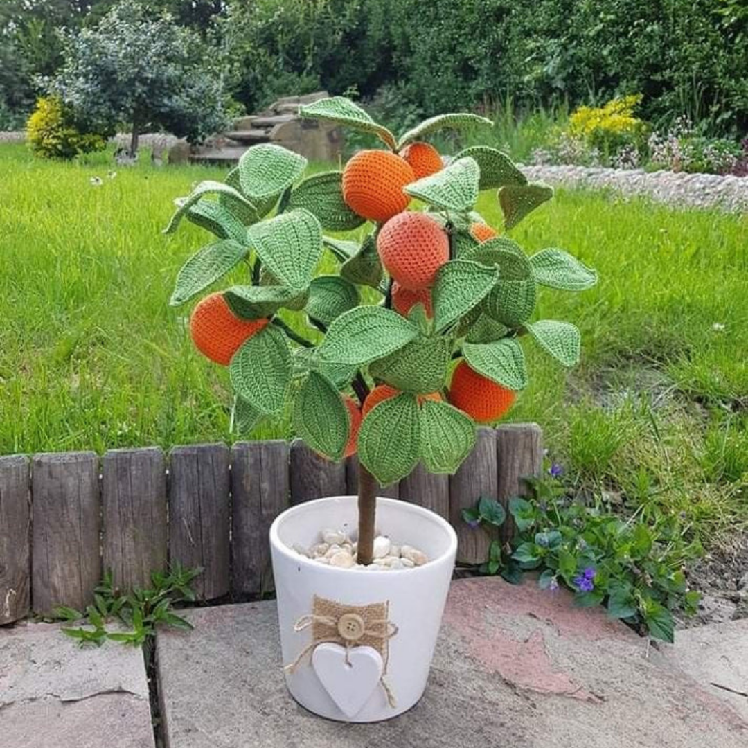 Haak jouw eigen Sinaasappelboom