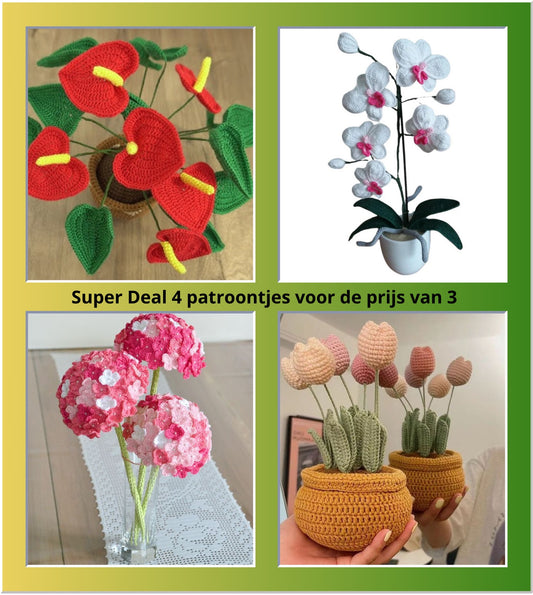 Super Deal 4 Bloempatroontjes voor de prijs van 3!