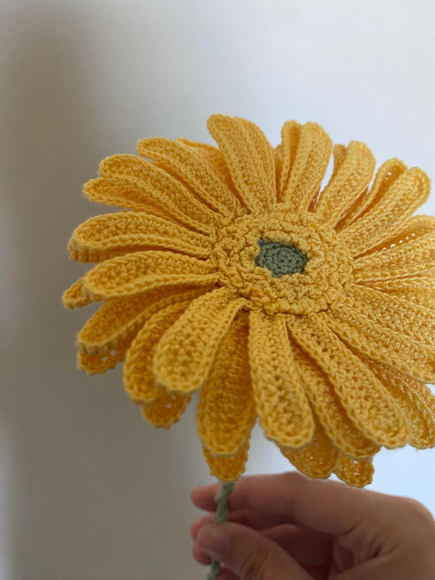 Prachtig Gehaakte Gerbera's Patroon
