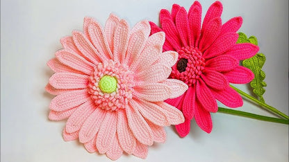 Prachtig Gehaakte Gerbera's Patroon